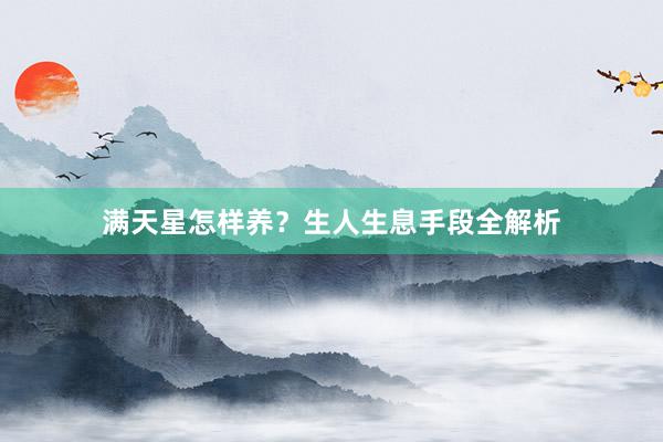 满天星怎样养？生人生息手段全解析